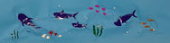 Sharks